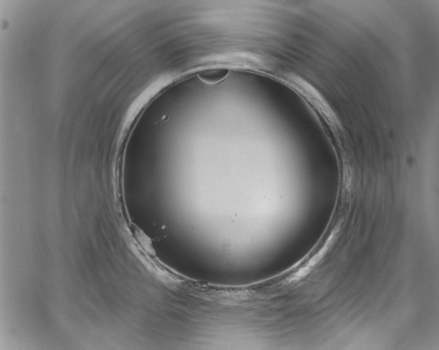 X0000067491196200604071156