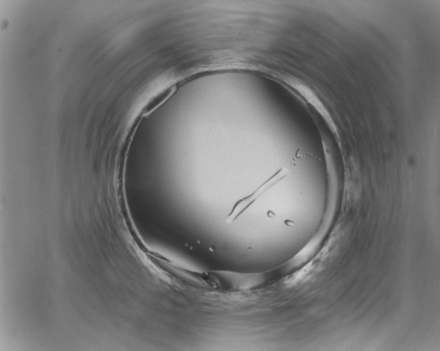 X0000067491197200604071156