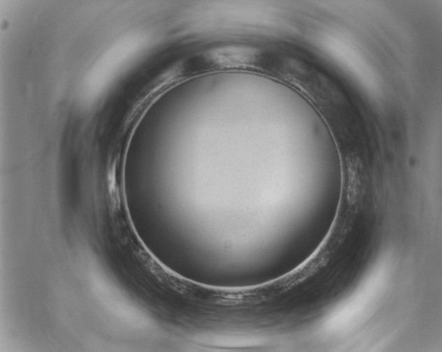 X0000067491198200604071156