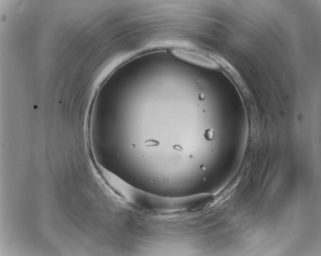 X0000067491199200604071156