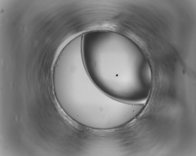 X0000067491200200604071156