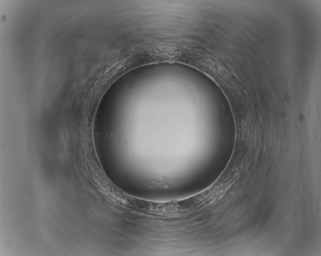 X0000067491201200604071155