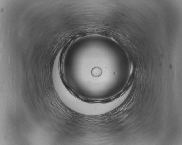 X0000067491202200604071155