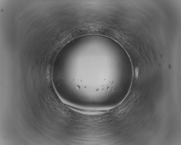 X0000067491203200604071155