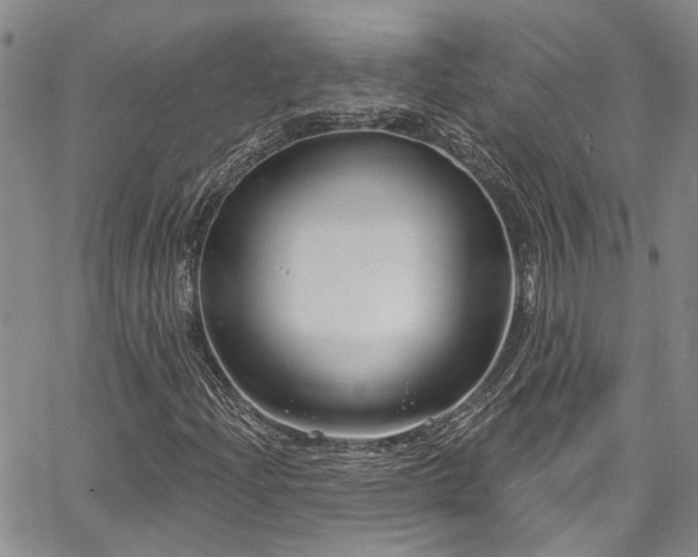 X0000067491204200604071155