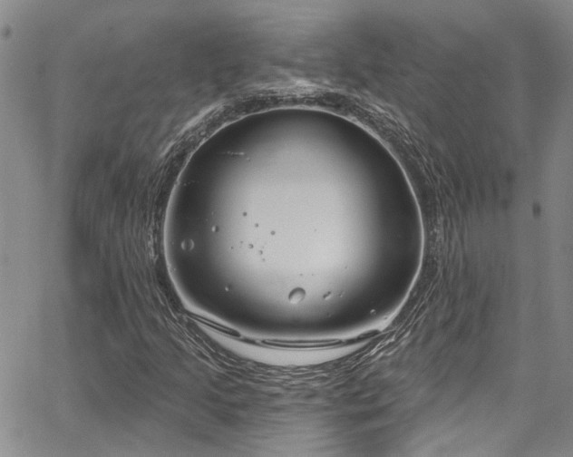 X0000067491205200604071155