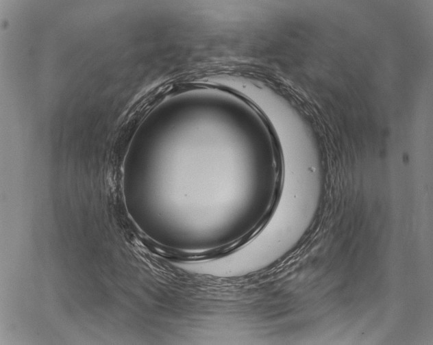 X0000067491206200604071155