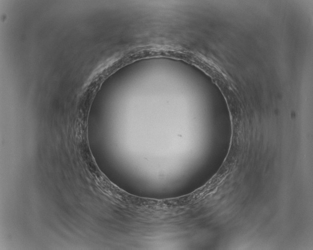 X0000067491207200604071155