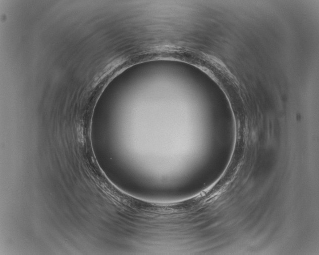 X0000067491209200604071155