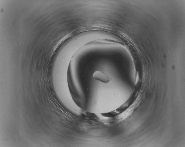 X0000067491210200604071155