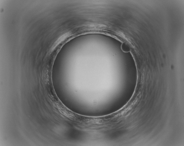 X0000067491211200604071155