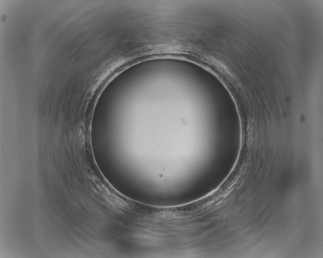 X0000067491212200604071155