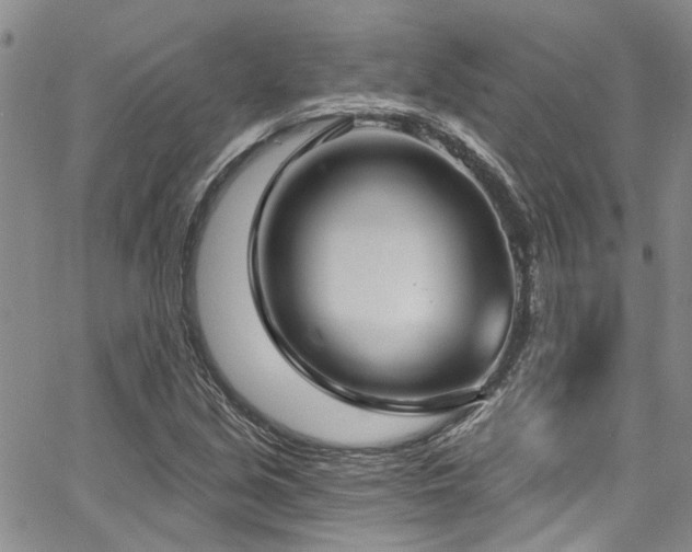 X0000067491213200604071155