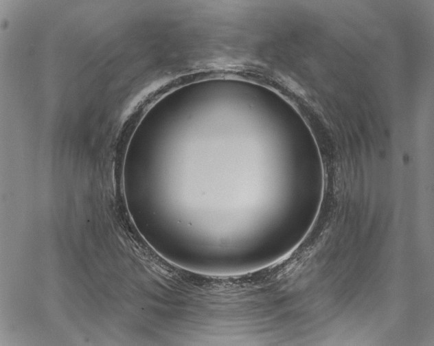 X0000067491214200604071155