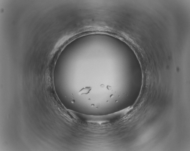 X0000067491215200604071155