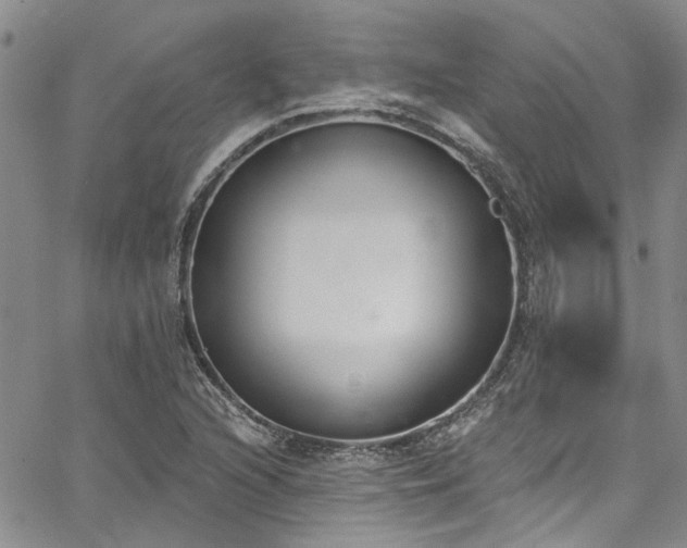 X0000067491216200604071155