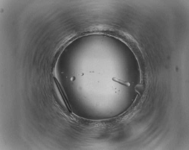 X0000067491217200604071155