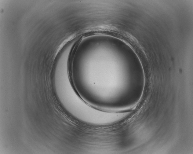 X0000067491218200604071155