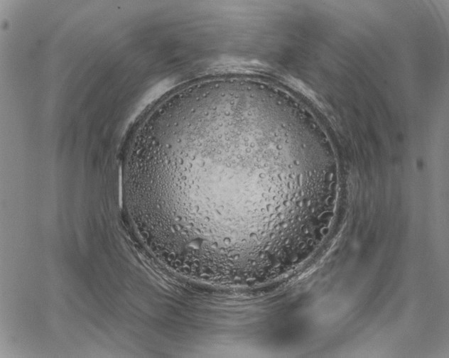 X0000067491219200604071155