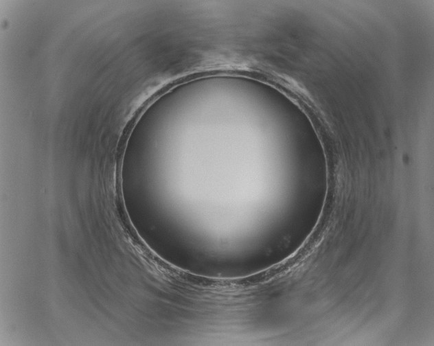 X0000067491220200604071155