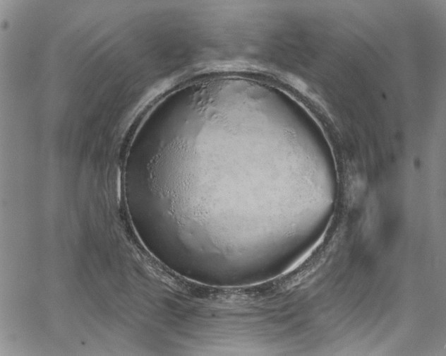 X0000067491221200604071155