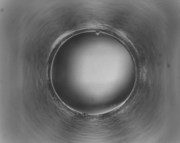 X0000067491222200604071155