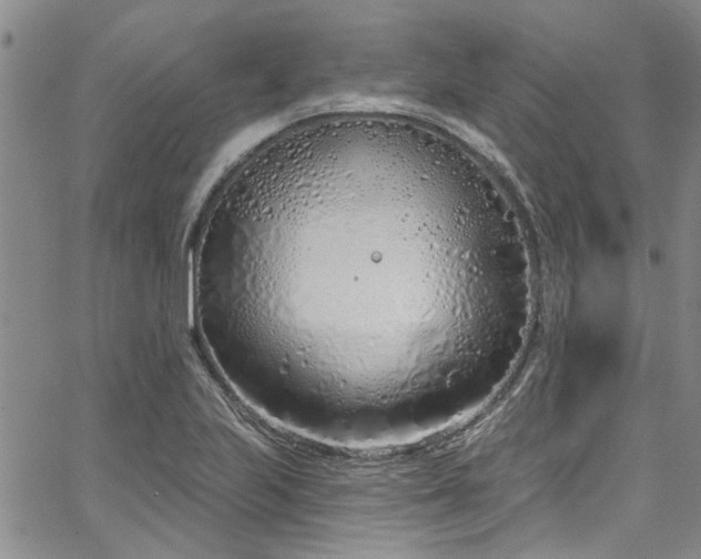 X0000067491223200604071155