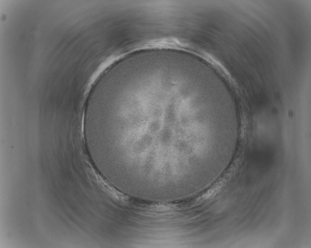 X0000067491224200604071155