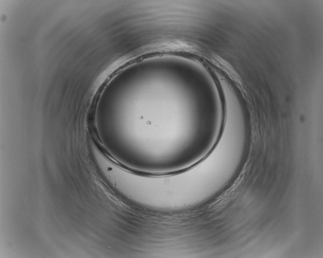 X0000067491226200604071155