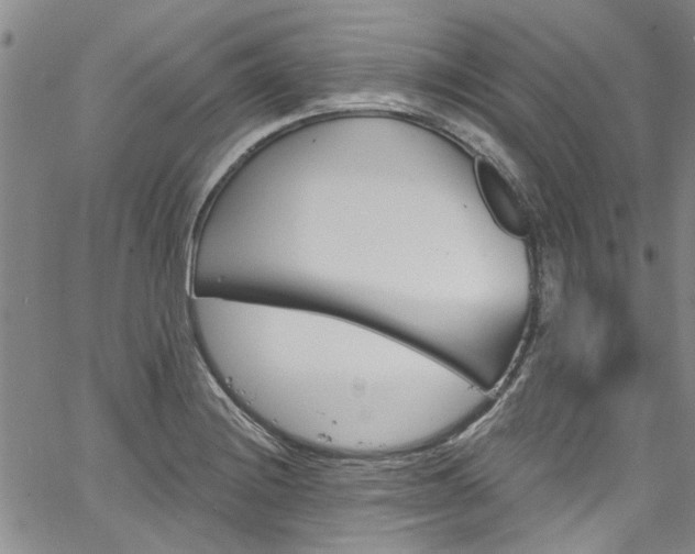 X0000067491228200604071156