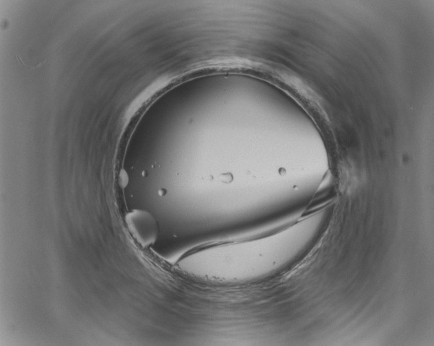 X0000067491229200604071156