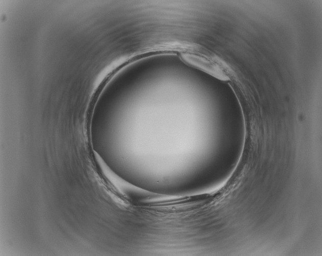 X0000067491230200604071156