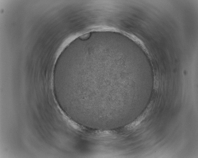 X0000067491231200604071156