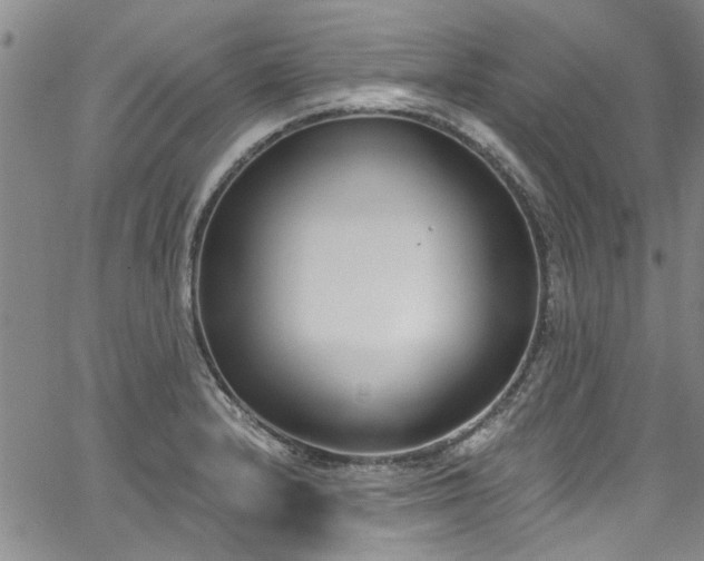 X0000067491232200604071156