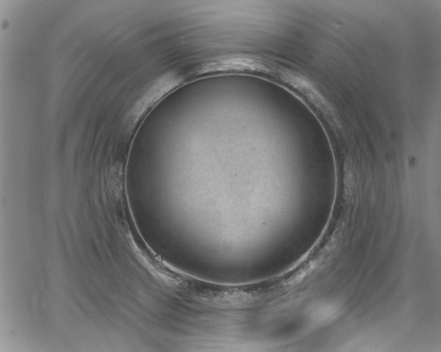 X0000067491233200604071156