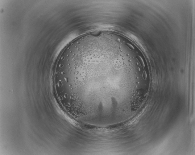 X0000067491235200604071156