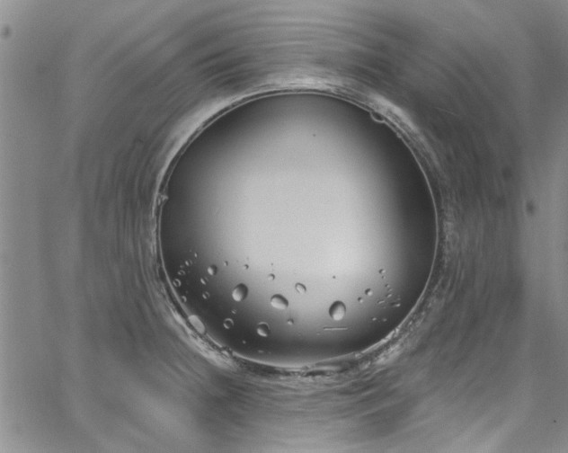 X0000067491236200604071156