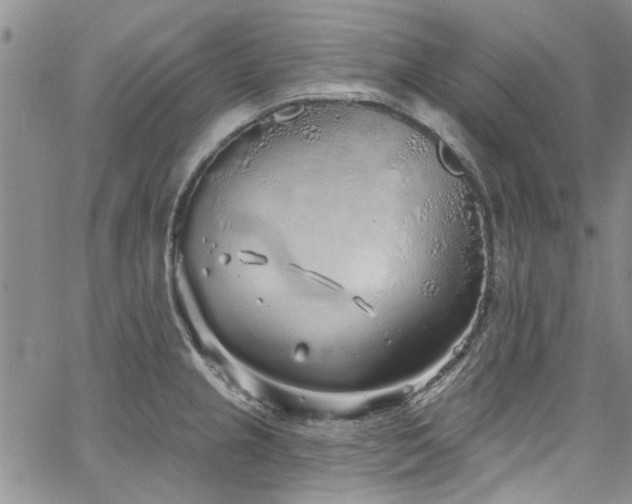 X0000067491237200604071156