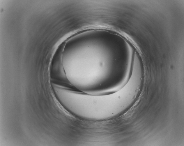 X0000067491238200604071156