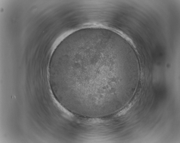 X0000067491239200604071156