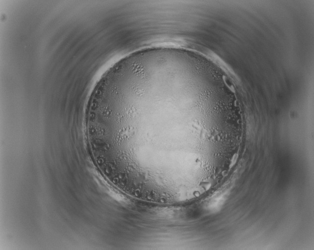 X0000067491240200604071156