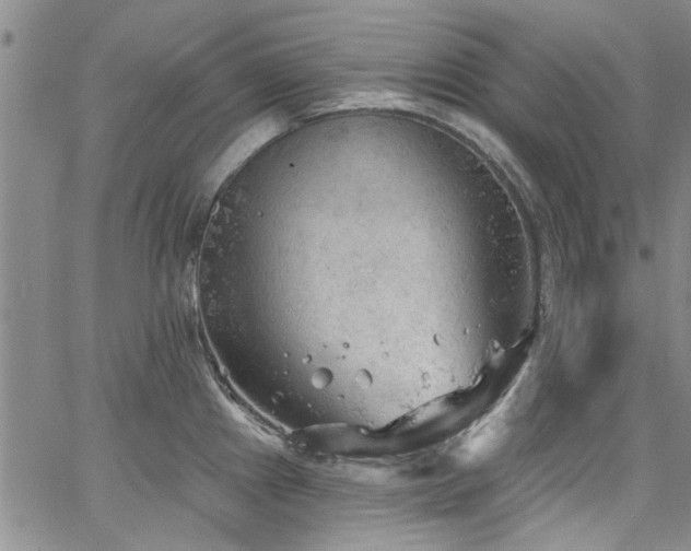 X0000067491241200604071156