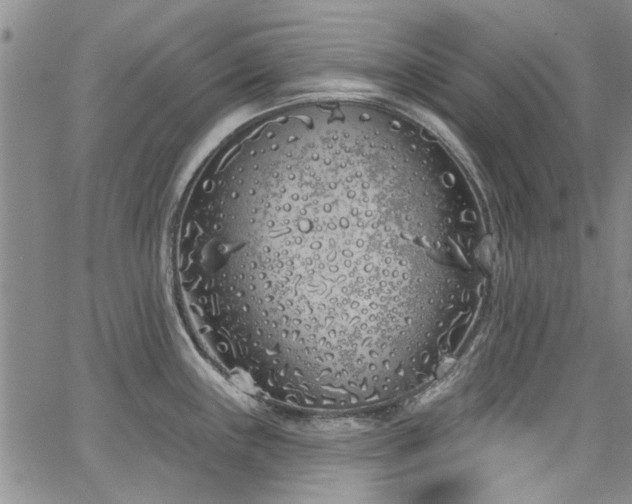 X0000067491243200604071156