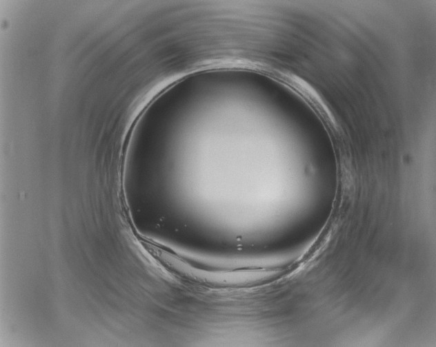 X0000067491244200604071156