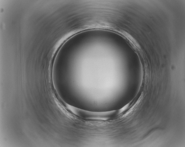 X0000067491246200604071156