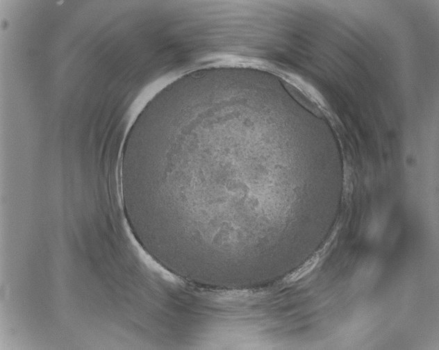 X0000067491247200604071156