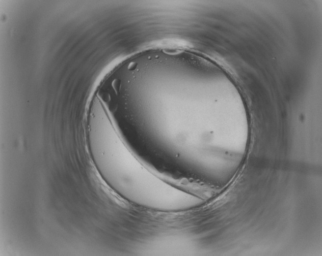 X0000067491248200604071156