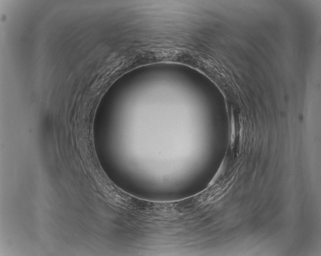 X0000067491249200604071155