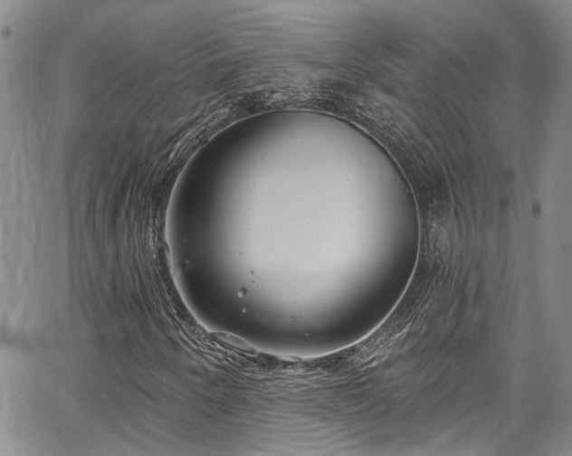 X0000067491250200604071155