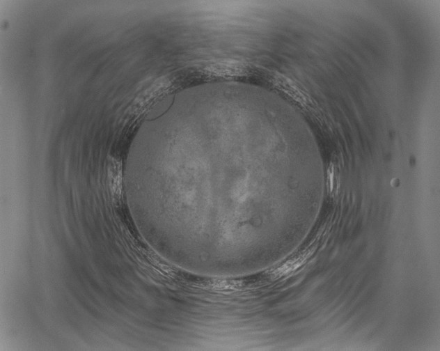 X0000067491251200604071155